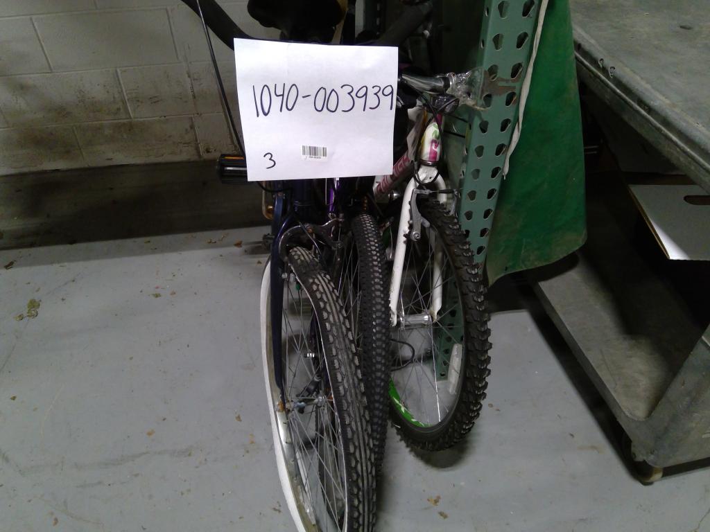 Group Of 3 Used Bikes