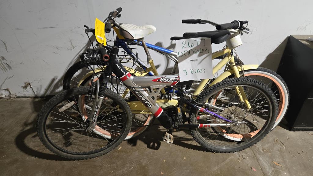 Group Of 3 Used Bikes
