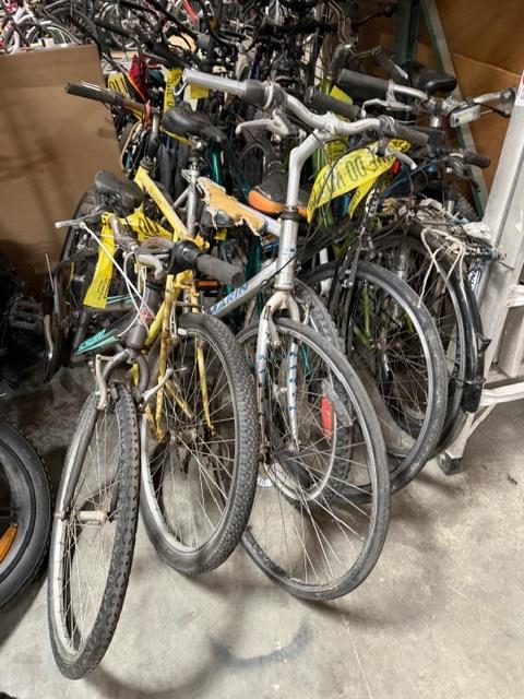 Group Of 8 Used Bikes