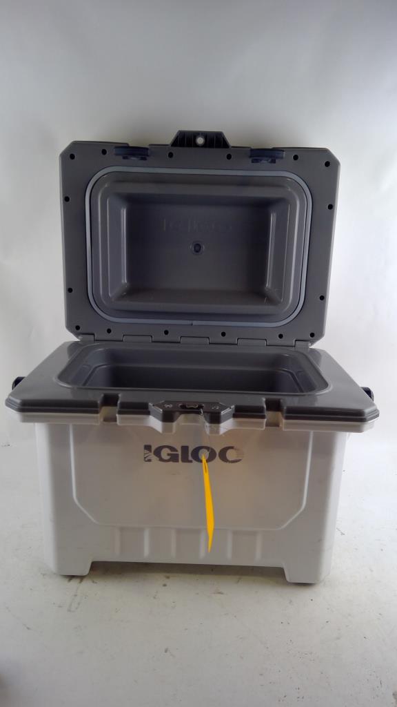 Igloo Cooler