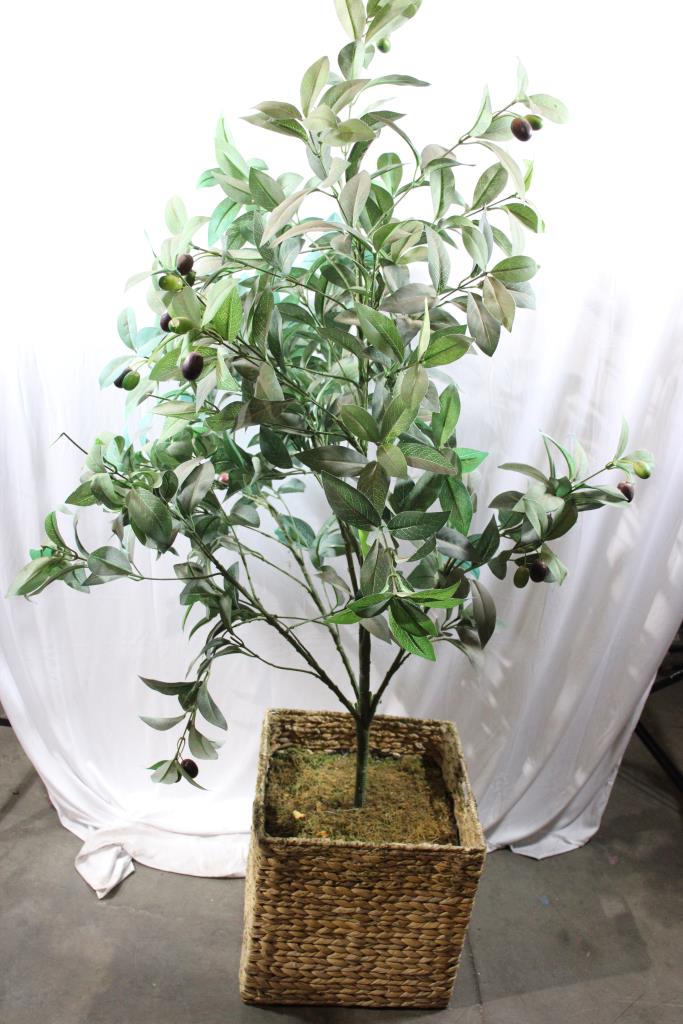 Indoor Artificial Tree Property Room
