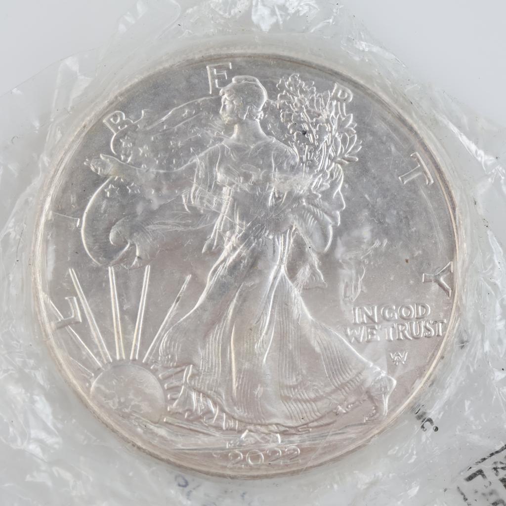 Littleton Coin Company Uncirculated 2022 US American Eagle Fine Silver Dollar 1oz
