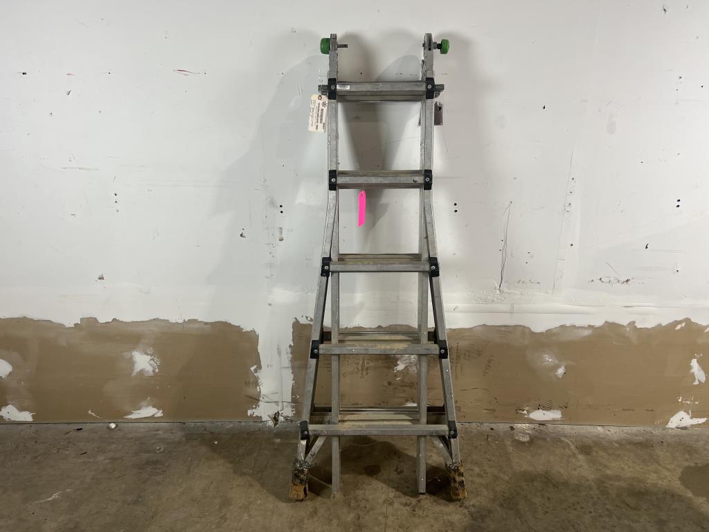 Mighty Multi Pro Ladder