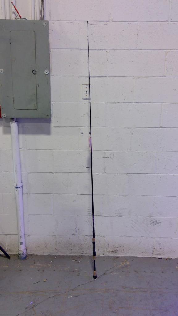 Mojo Bass Fishing Pole