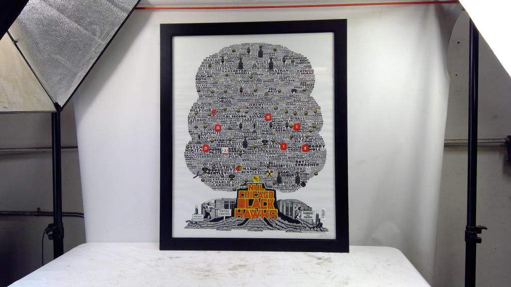 NHL Chicago Black Hawks Framed Poster