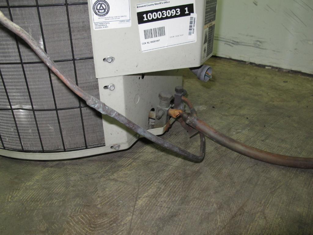 Payne Air Conditioner, ***FLORIDA APPT ONLY*** Property Room