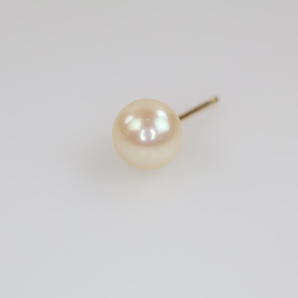 Pearl Earring 14kt Gold Post