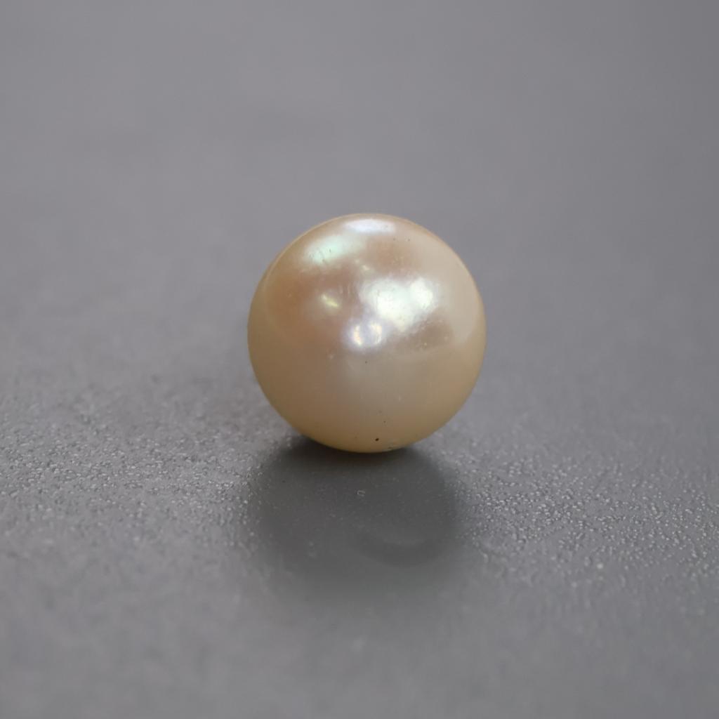 Pearl Earring 14kt Gold Post