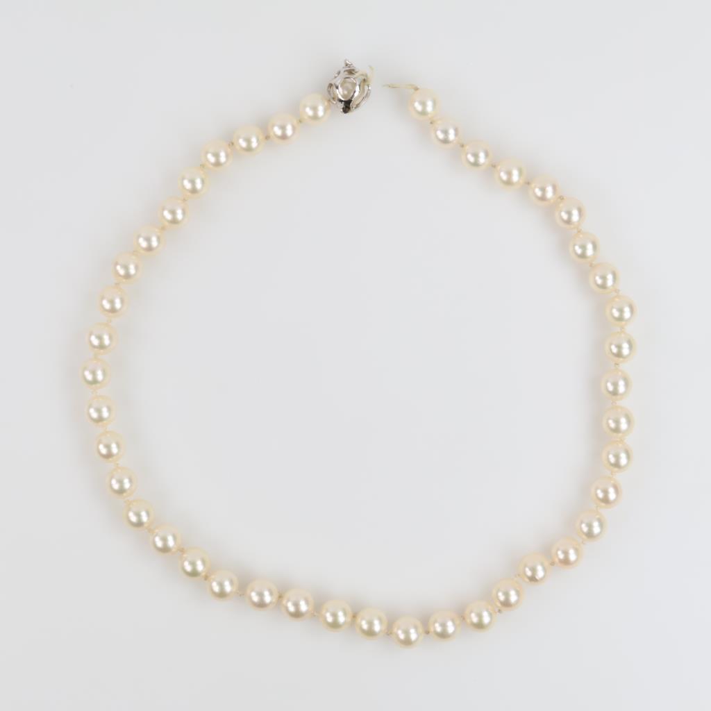 Pearl Necklace With 14kt White Gold Clasp