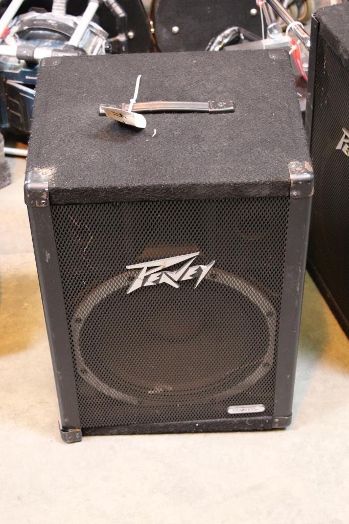 peavey es 15 speakers