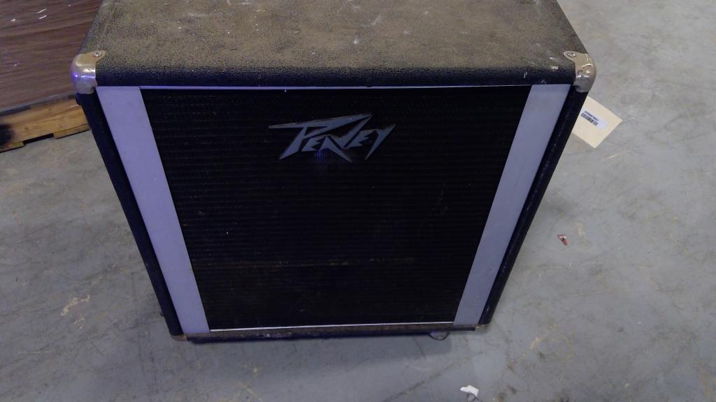 Peavey Speaker