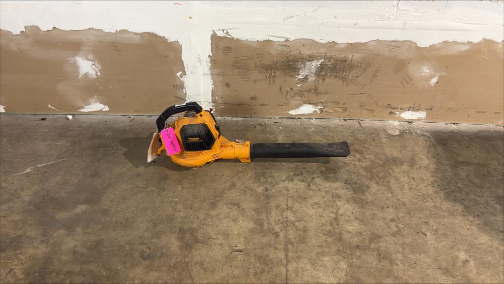 Poulan Pro Leaf Blower