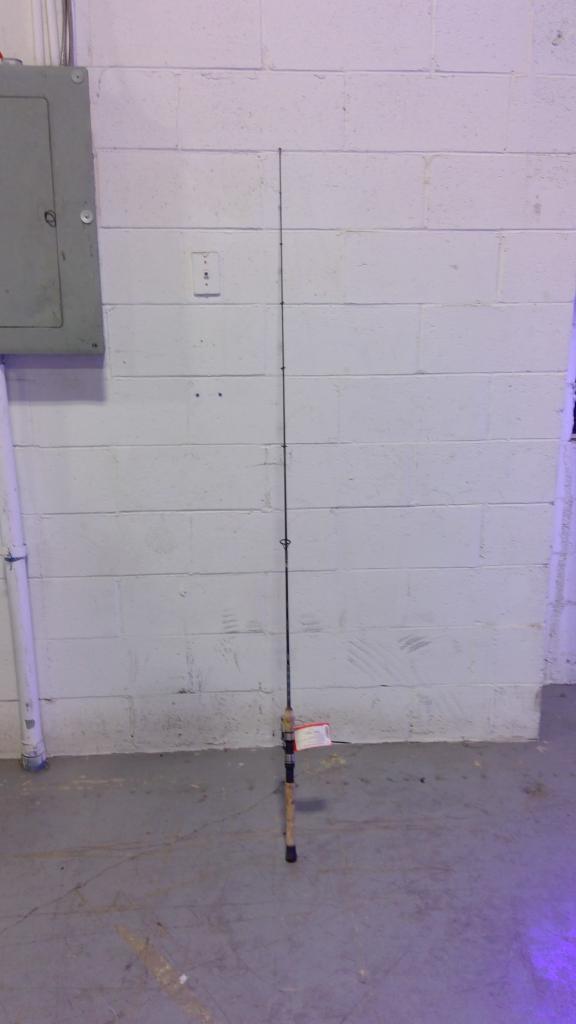 Quantum Fishing Pole