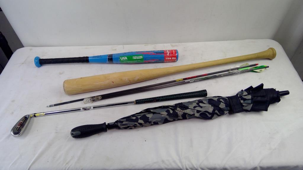 Rawlings 24" Tee Ball Bat, Archery Arrows, Wilson 6-Iron Golf Club And More, 7 Pieces