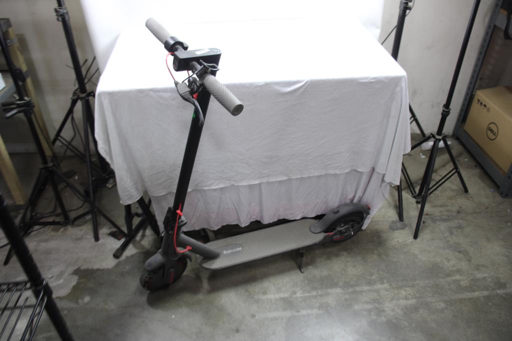 Roinside Electric Scooter