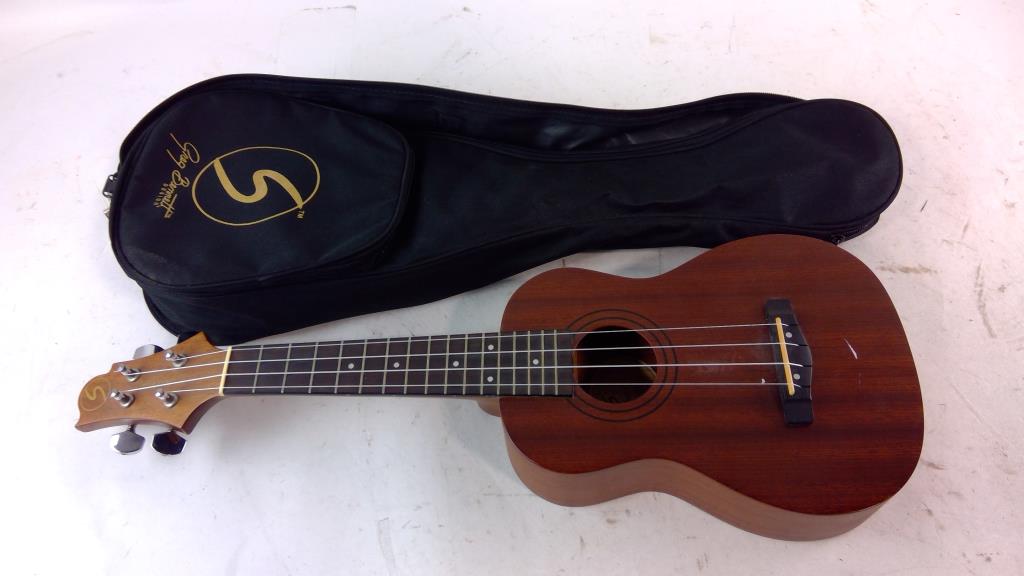 Samich  Acoustic Guitar
