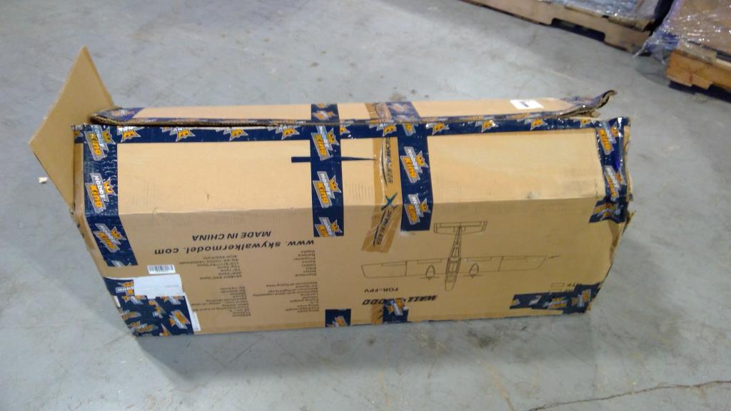 Skywalker Wall E2000 Fpv Plane