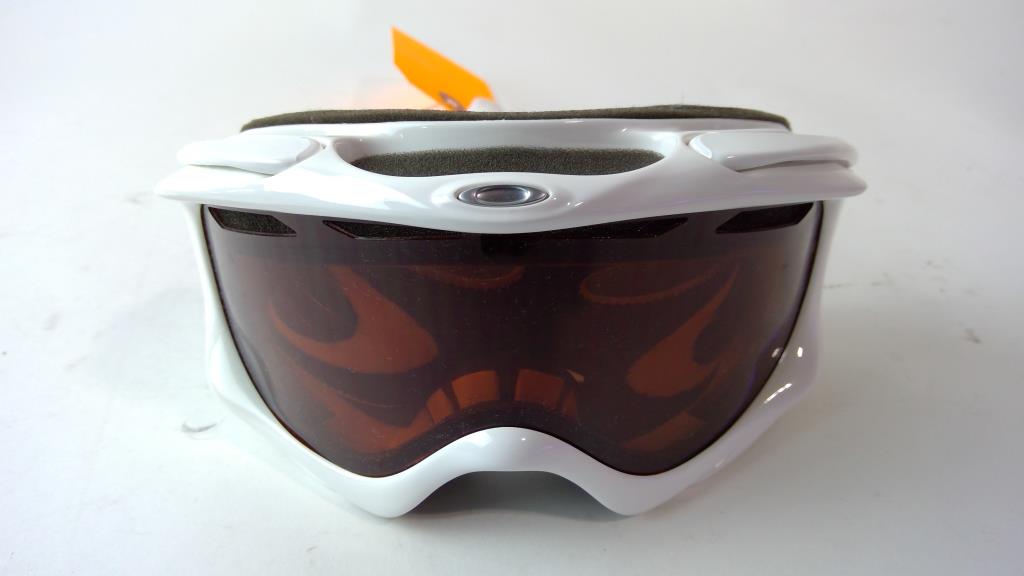 Snowboarding/Skiing Goggles