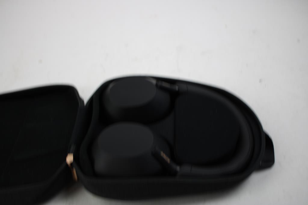 Sony  Headphones In Case