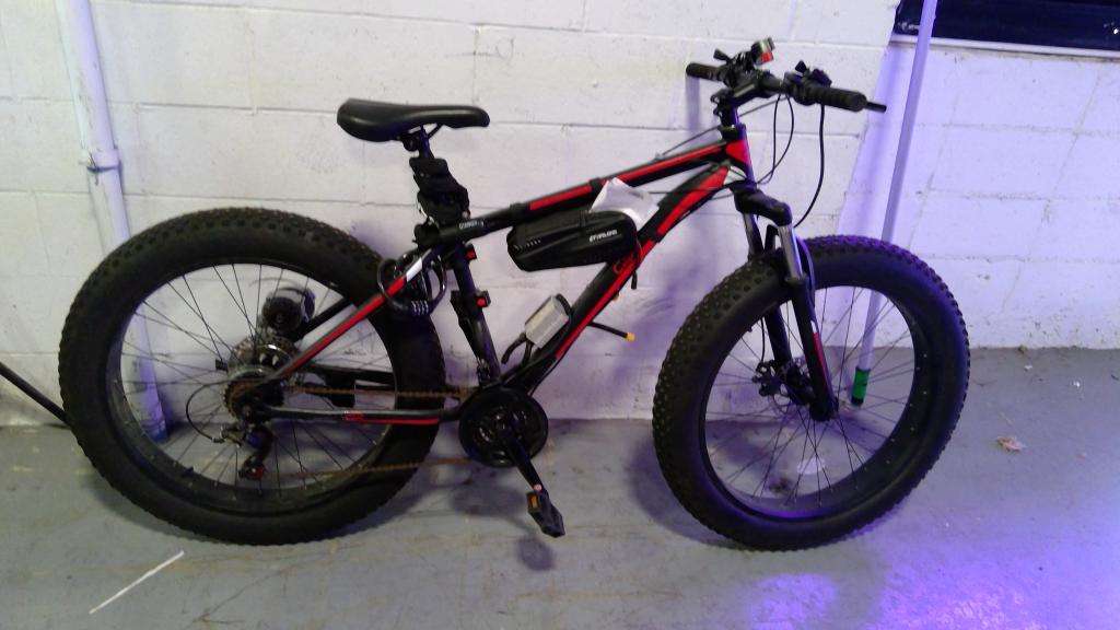 Survivals Camping E-Bike