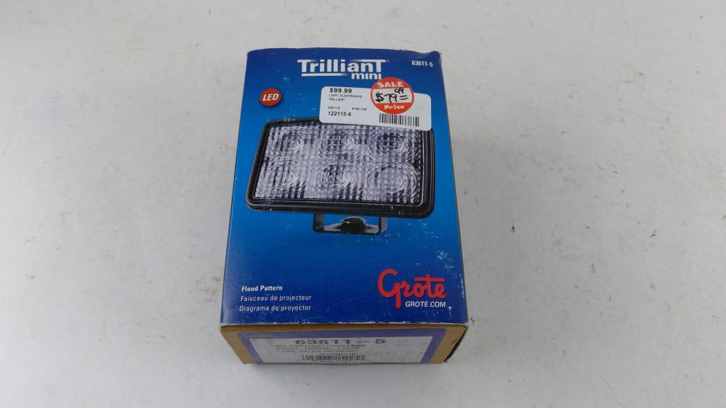 Trilliant Mini Flood Light
