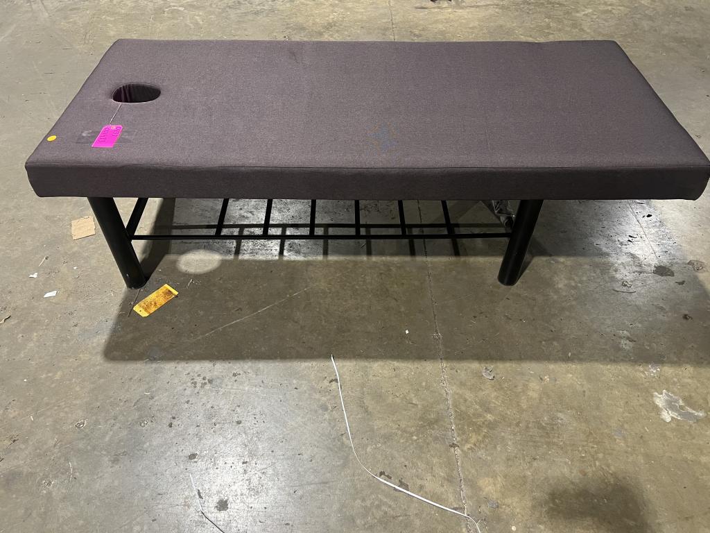 Unknown Brand Massage Table
