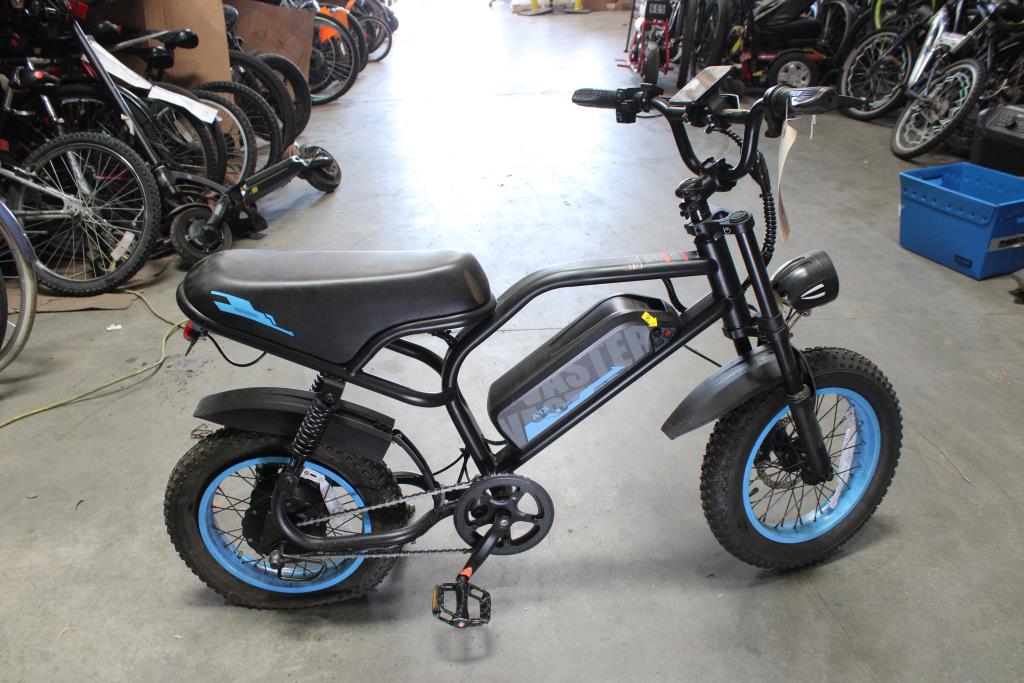 VASTER Youth E-Bike