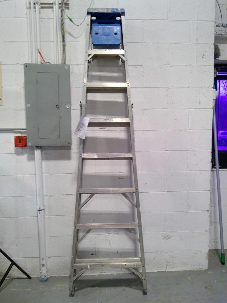 Werner Ladder