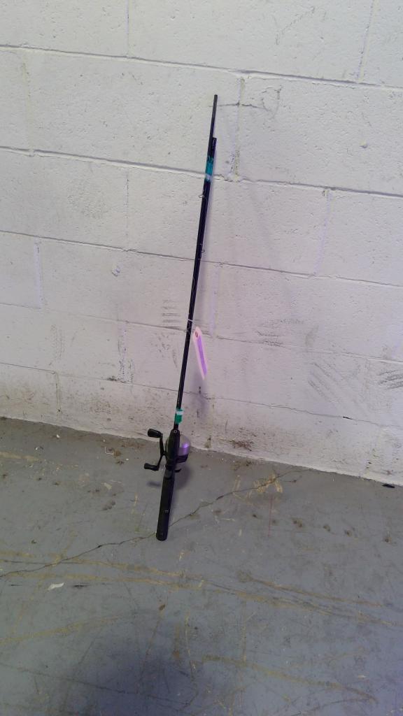 Zebco Fishing Pole