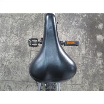 Nishiki Mountain Bike