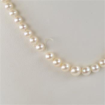 Pearl Necklace With 10kt GF Clasp