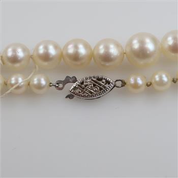 Pearl Necklace With 10kt GF Clasp