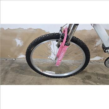 Unknown Hybrid Bike