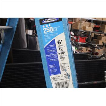 Werner 8 Ft. Fiberglass Step Ladder With 250 Lb. Load Capacity Type