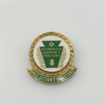 10kt GF Pin