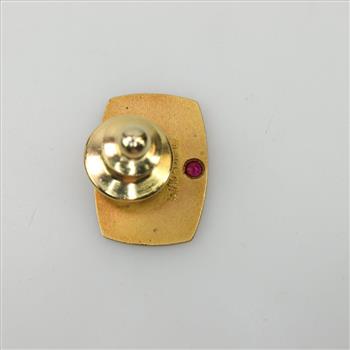 10kt GF Ruby Pin