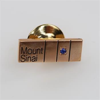 10kt Gold Blue Stone Accent Lapel Pin