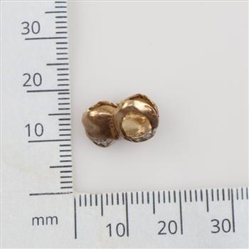 10kt Gold Dental Cap