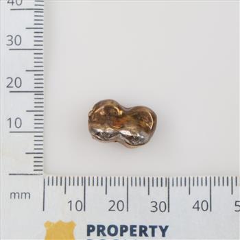 10kt Gold Dental Cap