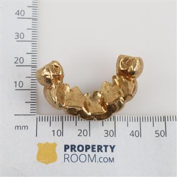 10kt Gold Dental Grill