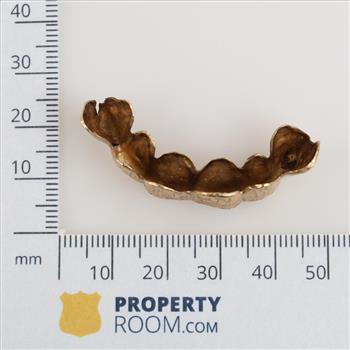 10kt Gold Dental Grill
