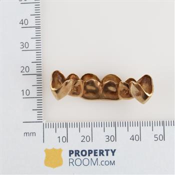 10kt Gold Dental Grill