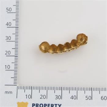10kt Gold Dental Grill