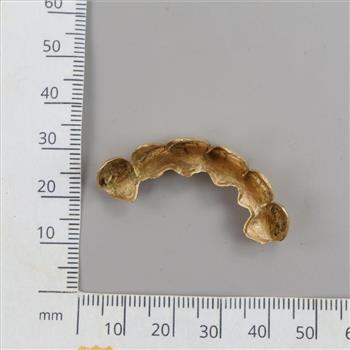 10kt Gold Dental Grill