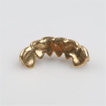 10kt Gold Dental Grill
