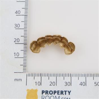 10kt Gold Dental Grill