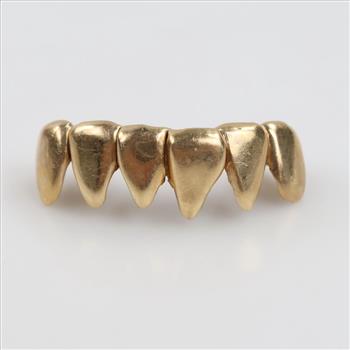 10kt Gold Dental Grill