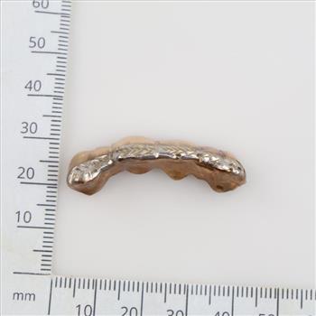 10kt Gold Dental Grill