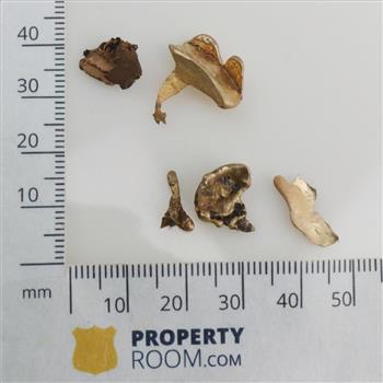 10kt Gold Pieces; 5 Pieces