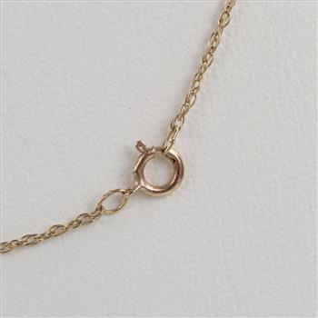 10kt Gold Singapore Chain Necklace